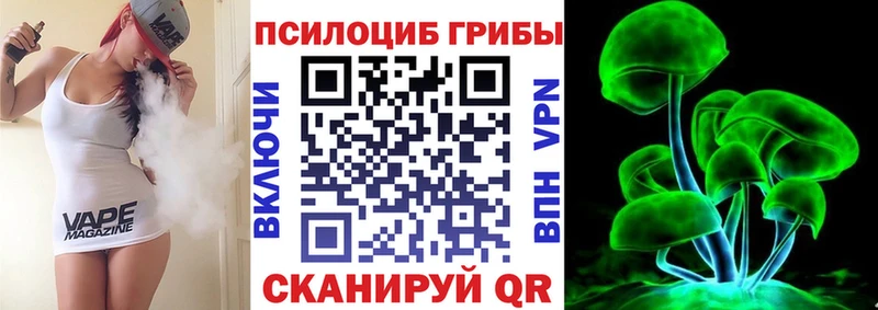 Псилоцибиновые грибы Cubensis  Курск 